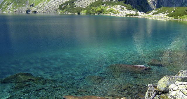 Polonia