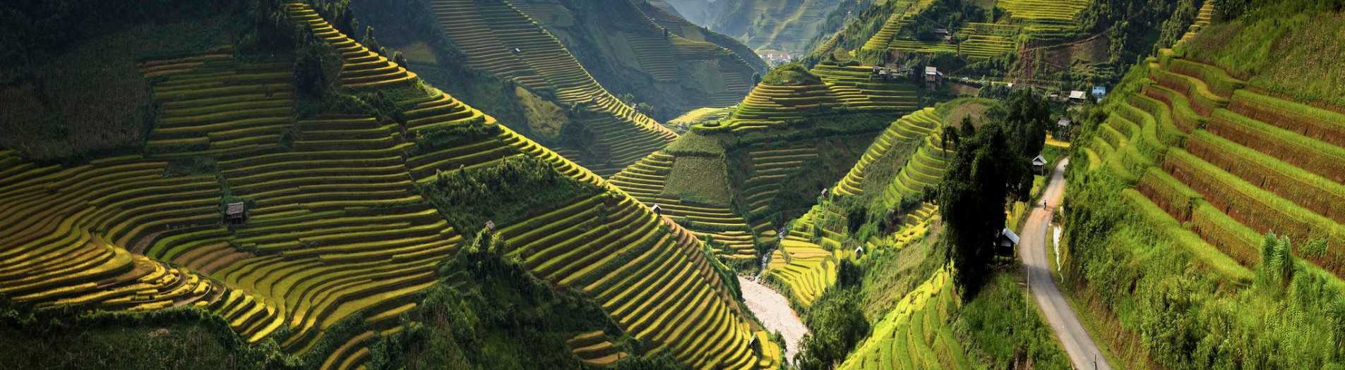 Asia